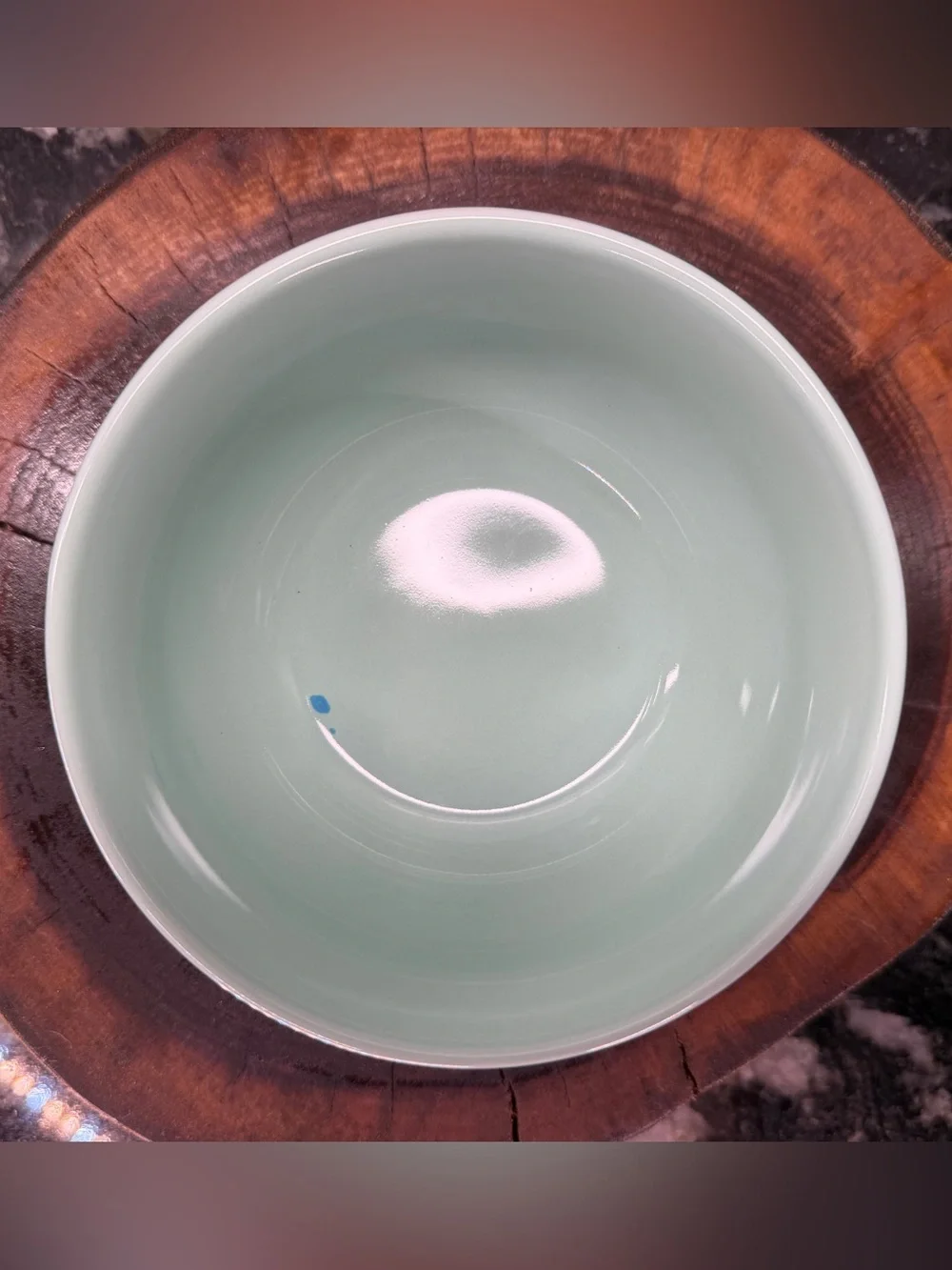 New Le Creuset Cool Mint 500ml Soup Bowl Stoneware Discontinued Rare - Ink Spot